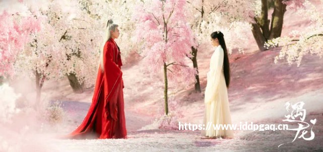 太阁5DX娶妻全攻略：战国里的7种浪漫，女忍者、李华梅都能娶回家